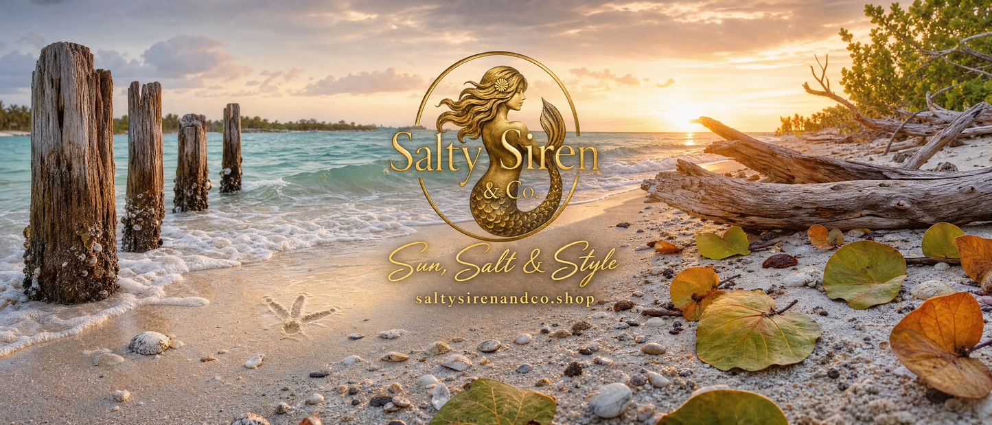 Fort De Soto Beach