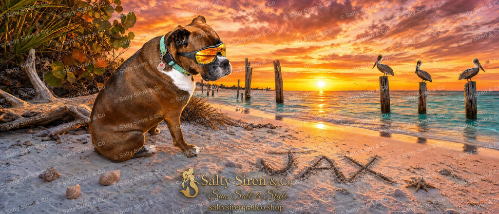 Jax the dog at Fort De Soto beach at sunset — Salty Siren & Co. tumbler