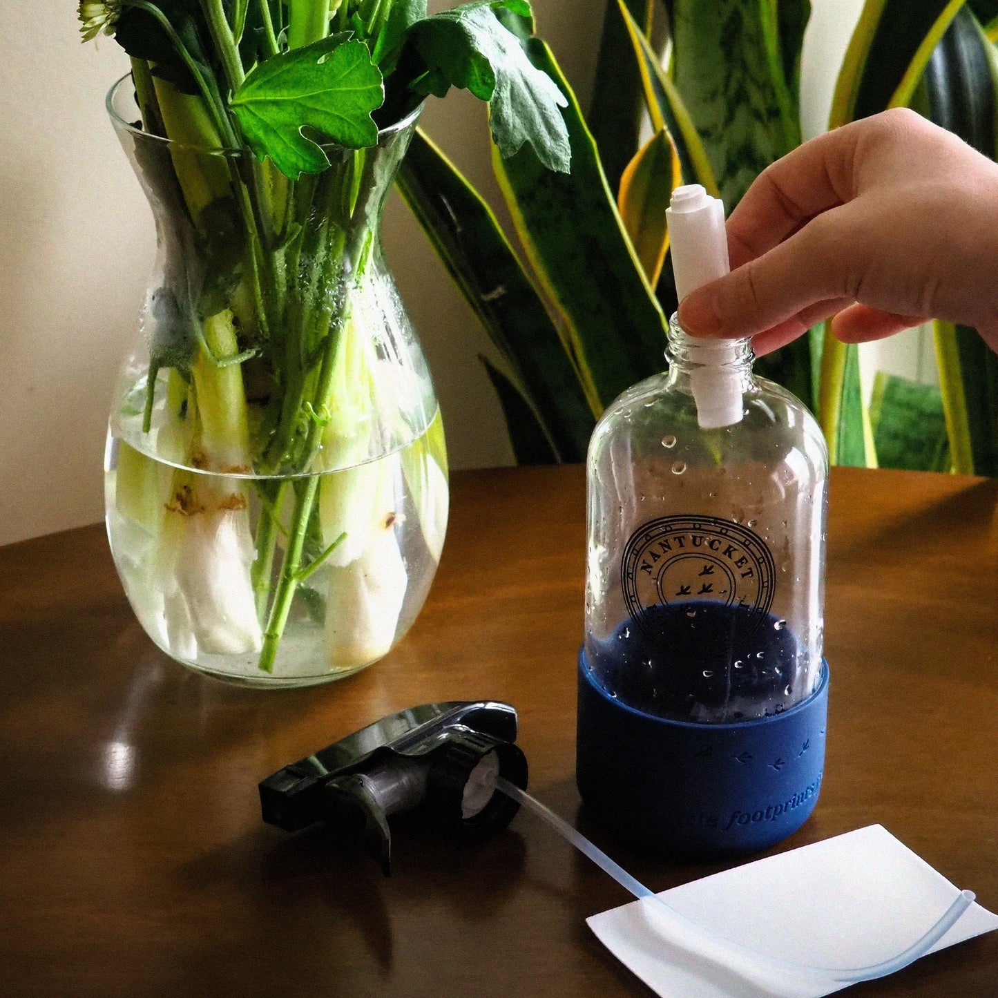 Zero Waste Glass & Window Cleaning Strips - 8 Strips